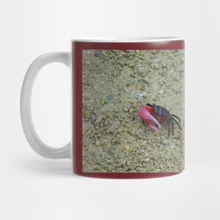 Cute Fiddler Crab Mug